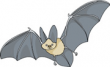 A clip art bat