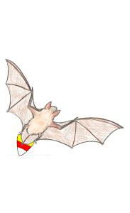 little bat stealing candy corn