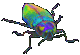 An animated beetle