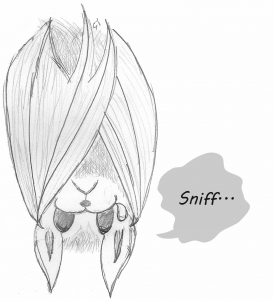 a drawing of a sad bat saying sniff