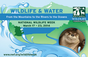 2014 National Wildlife Week graphic