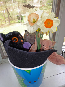 A photograph of an Easter basket with stuffed bats