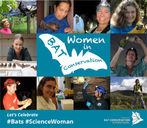 A photo montacge of select women in bat conservation by Bat Conservation International