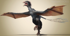 an artist rendering of a newly described dinosaur with bat-like wings.