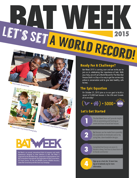 bat week flyer