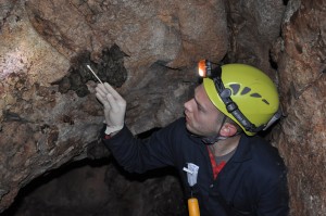 A photograph of bat researcher Joe Hoyt swabbing bats in a cave in China