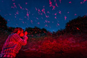 A photograph of a photgrapher setting up to photograph the freetail bats at Bracken Cave in Texas.