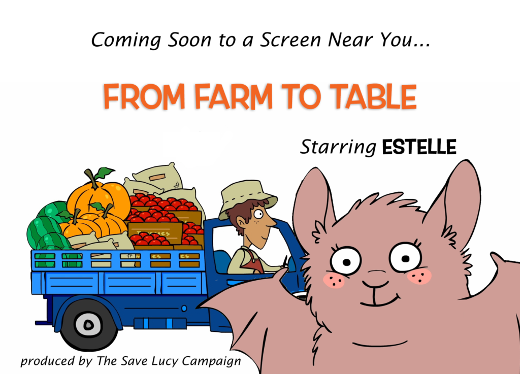 A cartoon announcing a new animated shot called Farm to Table and the batty star, Estelle