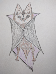 A hand drawing of a bat wearing a Dracula cape. It
