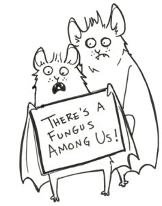A cartoon of two bats. One is holding a sign that reads 